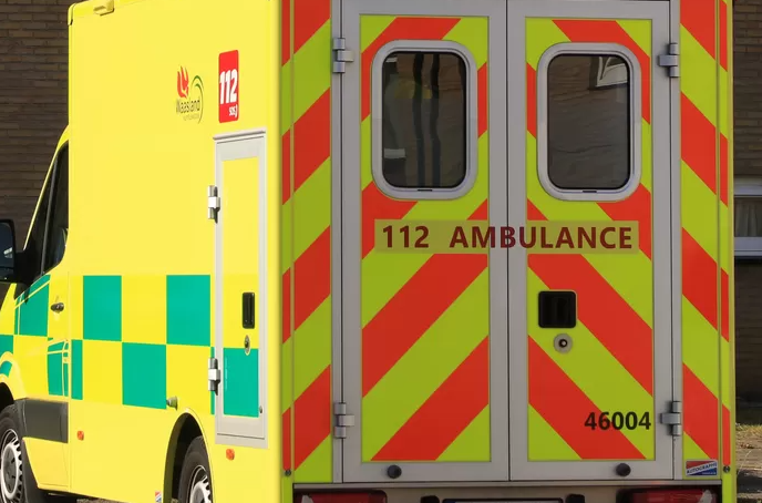 Une jeune femme perd le contrôle de son véhicule à cause d'une araignée sur le tableau de bord