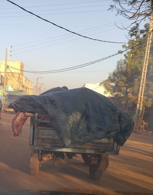 Viande: Une énorme perte pour l’économie malienne