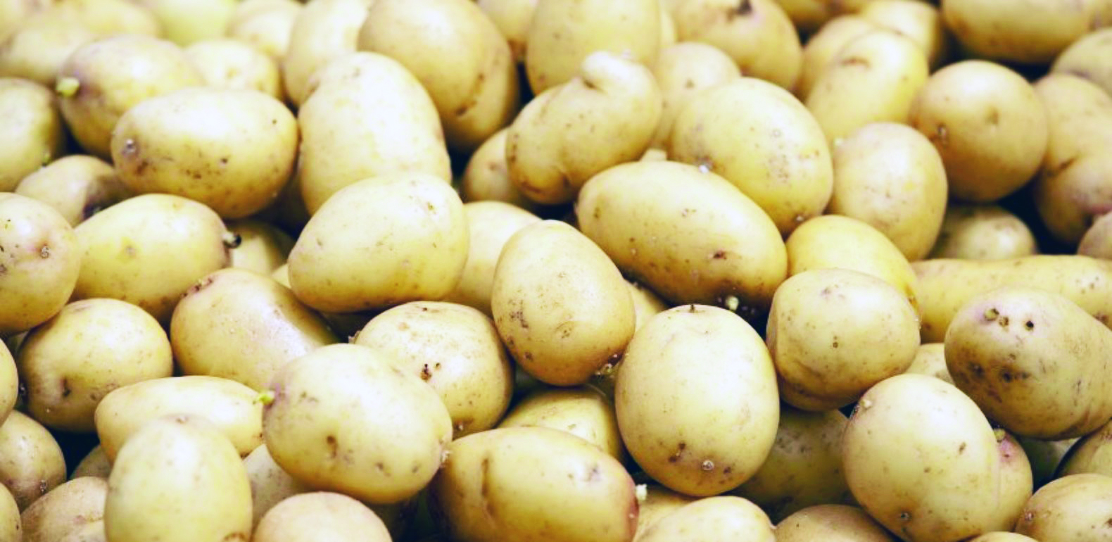 APCAM : Les paysans exigent la vérité sur des nouveaux marchés d’intrants agricoles