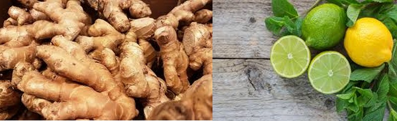 Gingembre/Citron : Un duo dynamique pour la santé