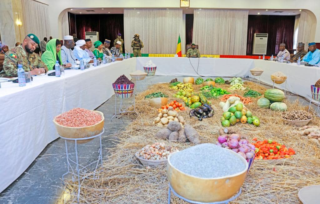 Mali : un programme présidentiel pour former des jeunes à l’agroalimentaire