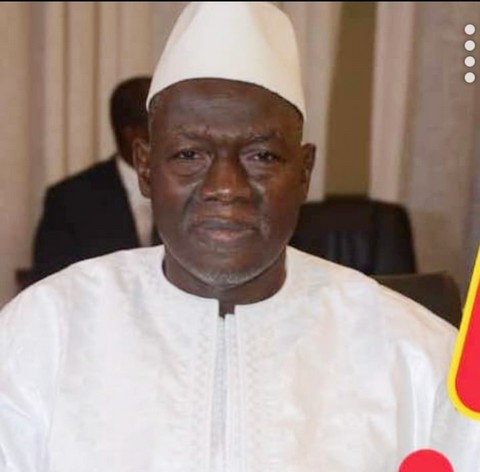 Mali: Le constat de H. Niang sur le déséquilibre dans l'exploitation des ressources minières en Afrique