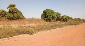 Affaire du TF 1637 de Samaya : Qu’est-ce qui rétarde l’exécution de l’arrêt de la Cour d’Appel?