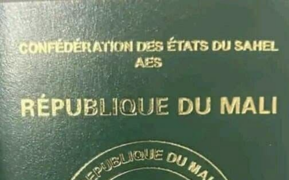 Le passeport AES disponible 29 janvier : Au-delà des avantages, le défi !