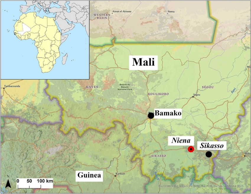 Sikasso-Bougouni : Un convoi ministériel tombe dans une embuscade