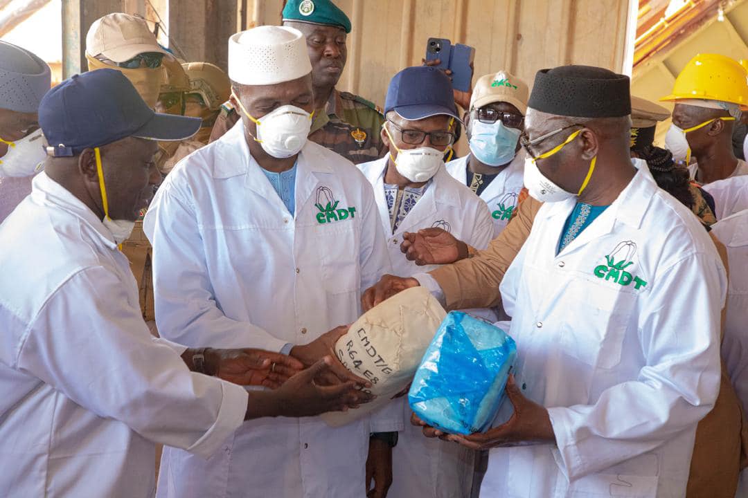 Production de coton au Mali : Les cotonculteurs maliens ambitionnent de passer d’une à cinq tonnes par hectare