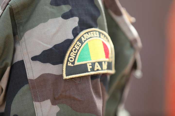 Mali : un deuxième drone intercepté par les FAMa dans la région de Kidal