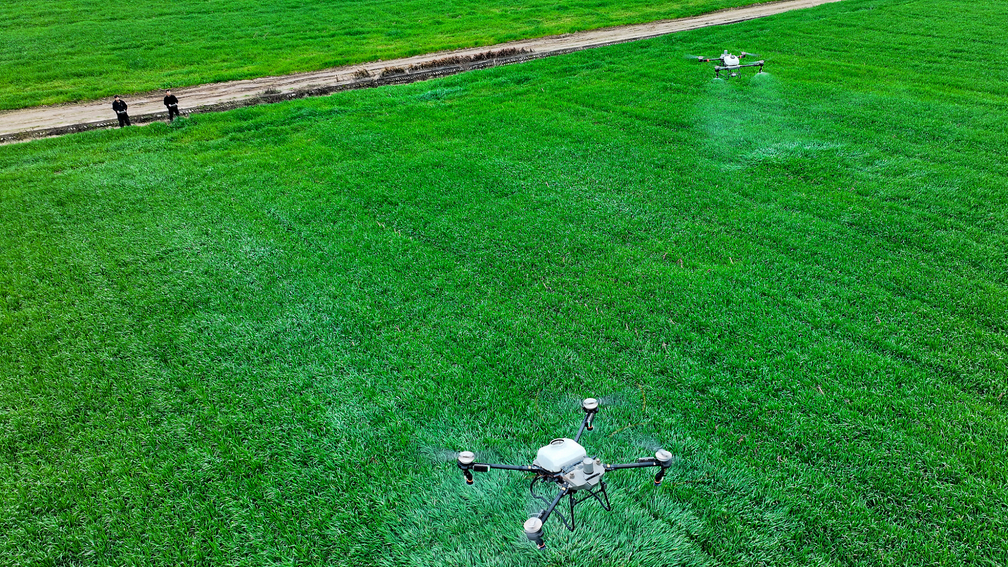 Réformes rurales en Chine : l'agriculture et l'innovation technologique, piliers de la revitalisation rurale