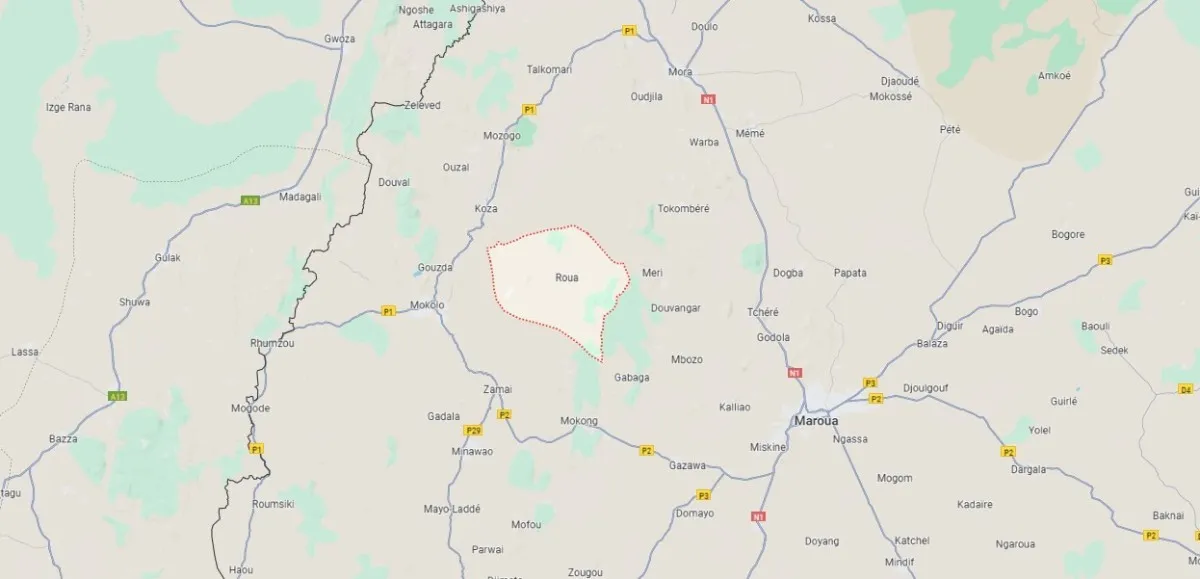 "Un meurtre horrible" : au Cameroun, deux chercheurs et leur guide, pris pour des djihadistes, ont été brûlés vifs
