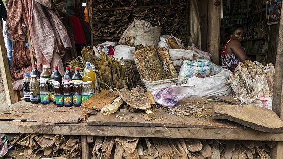 Produits locaux : Vers la valorisation des médicaments traditionnels