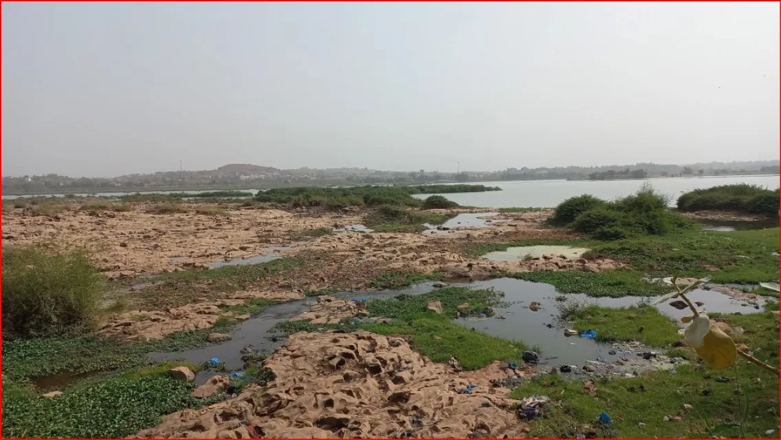 Le fleuve Niger tout au long de Bamako : La dégradation de l’écosystème, la pollution de l’eau…
