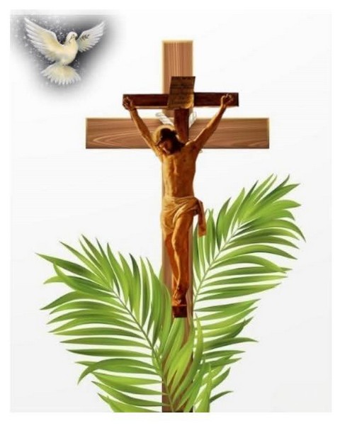 Dimanche des rameaux :  Entre acclamations et Croix