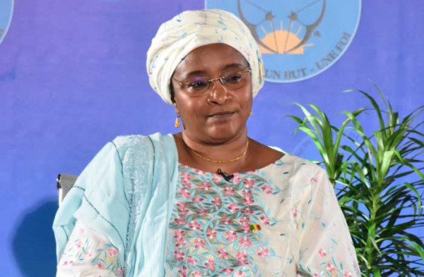 Mali : Légère diminution des cas de dengue, le Président de la transition insiste sur la vigilance