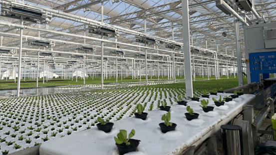 Xi Jinping adresse une lettre de félicitations au Forum 2025 de l'OCS sur la réduction de la pauvreté et le développement durable