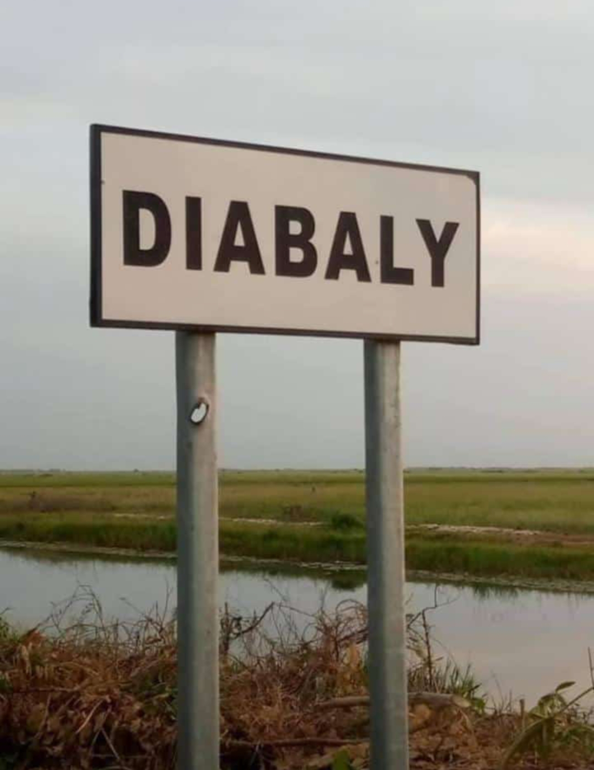 Attentat terroriste empêché à Diabaly : Les FAMa repoussent les assaillants