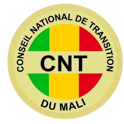 Le Mali se dote de deux nouvelles universités : Bandiagara et Kayes à l'honneur