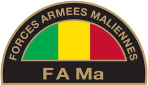 Mali : Attaque terroriste à Tessit dans la région de Gao