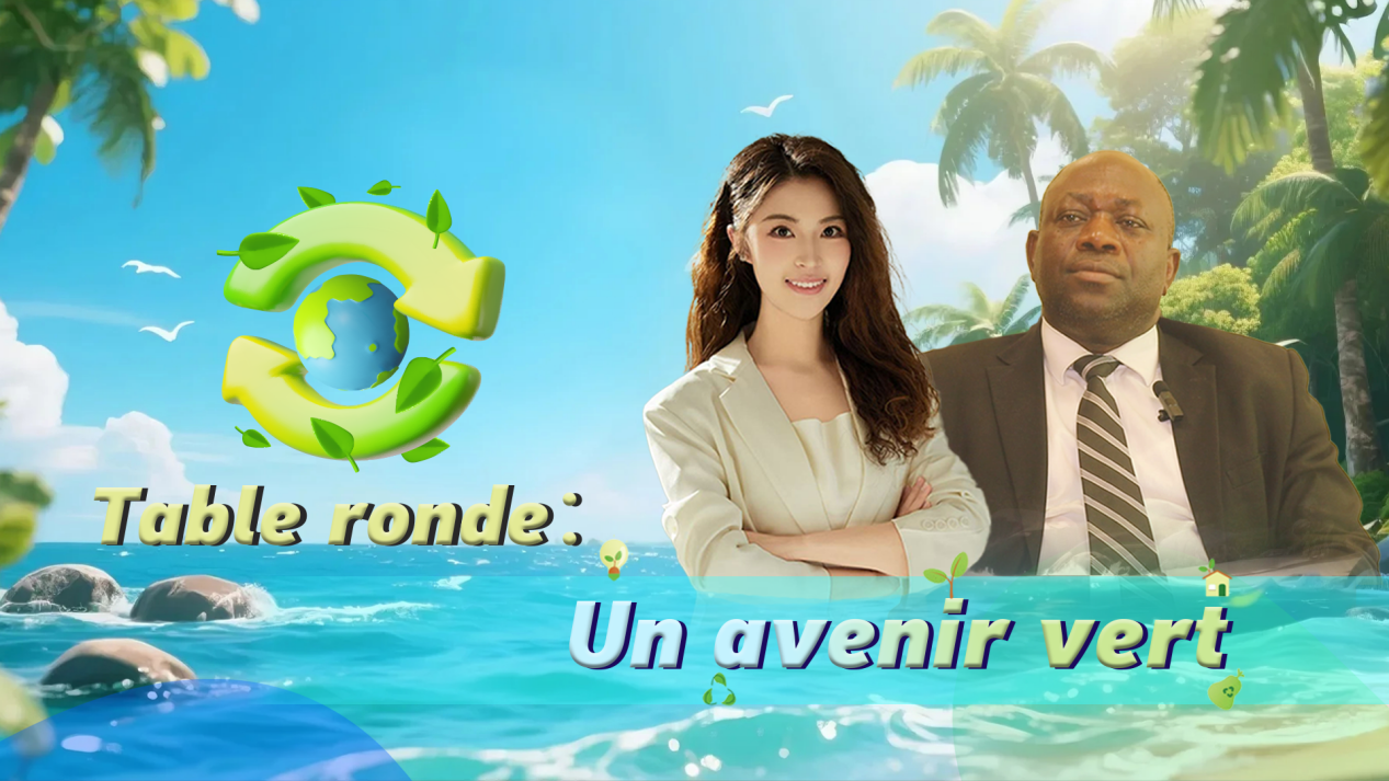 Forêts et océans, un lien écologique essentiel