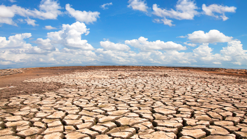 La Corne de l'Afrique connaîtra des conditions météorologiques extrêmes d'août à octobre