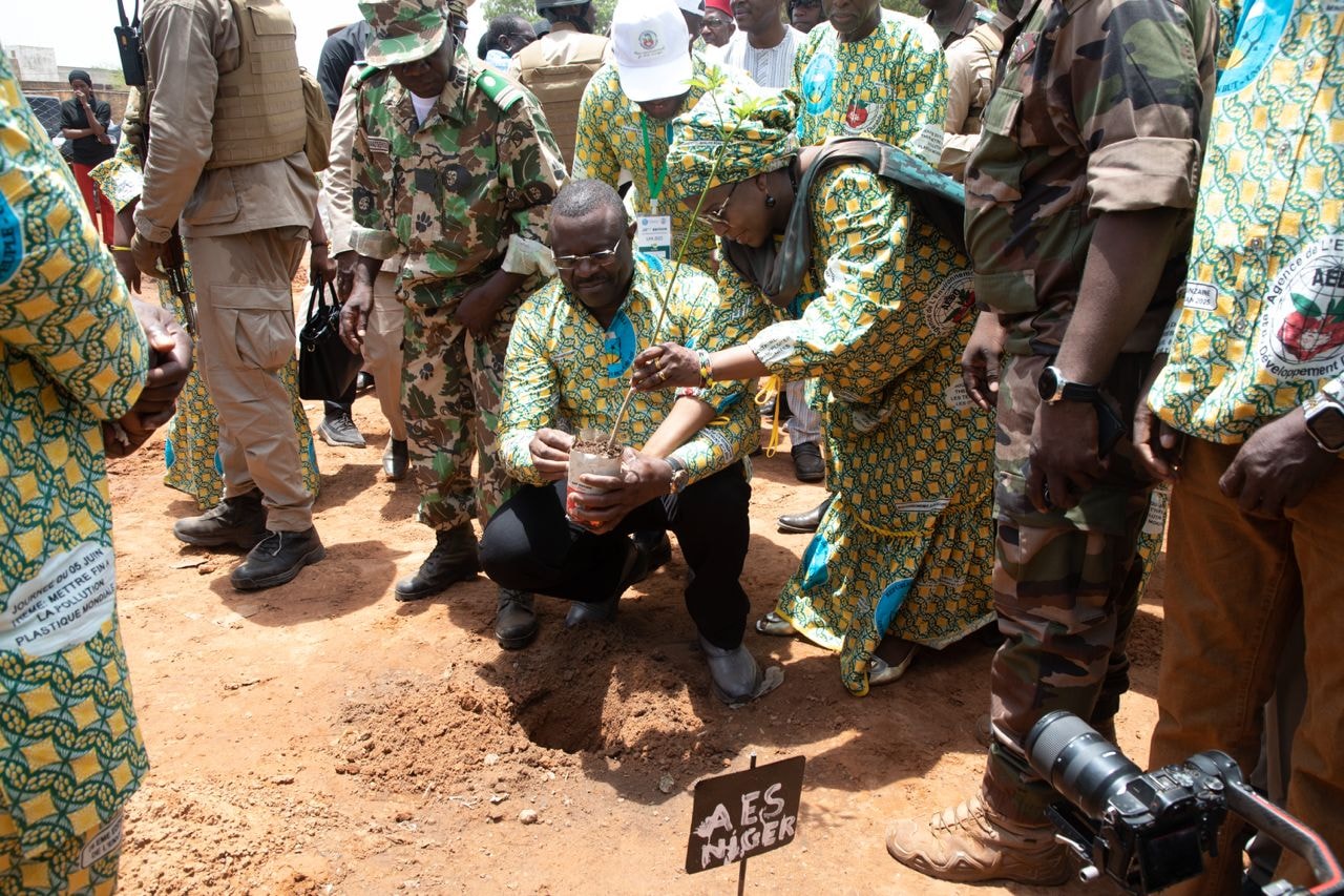 Nouvelle offensive au Mali pour stopper le désert : une grande opération de plantation pour faire renaître la végétation.