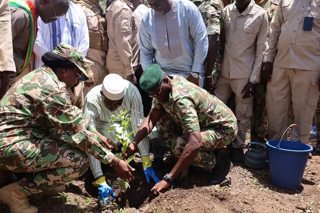 Mali: 31e campagne nationale de reboisement lancée pour lutter contre la désertification