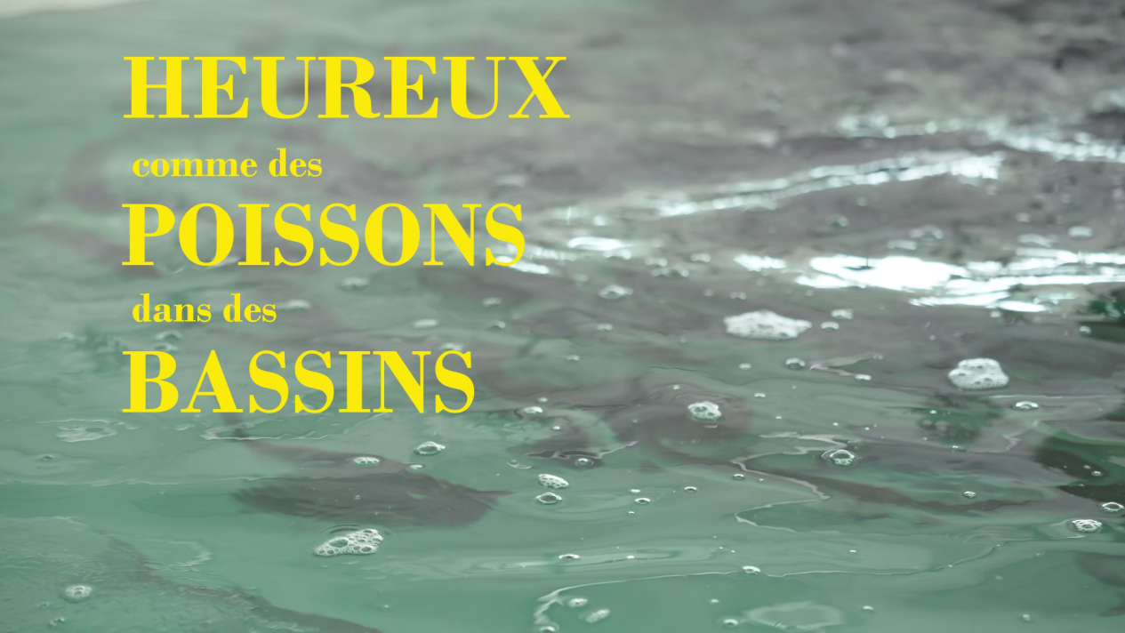 Heureux comme des poissons dans des bassins