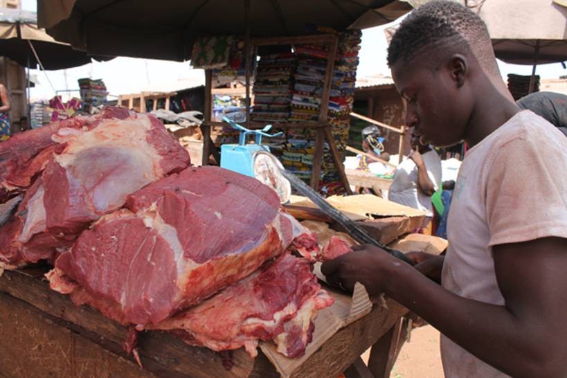 Prix du kilo de viande au Mali: Plus de pâturages, plus d’abris, plus de transhumance