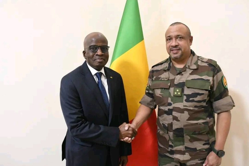 Nomme ambassadeur du Mali en Egypte : Samba A. Baby reçu par le ministre Daoud Aly Mohammedine