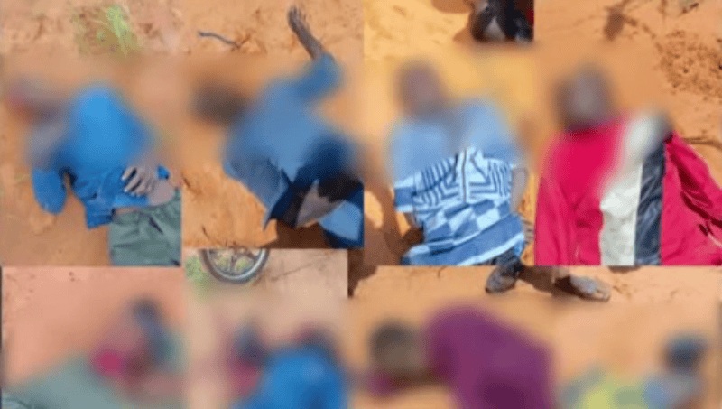 Niger : les FDS déjouent une embuscade et neutralisent un important stock terroriste dans l’Ouest