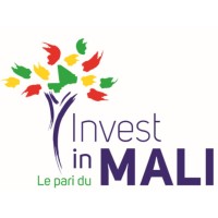 Faux documents de l'API-Mali : attention à la fraude !