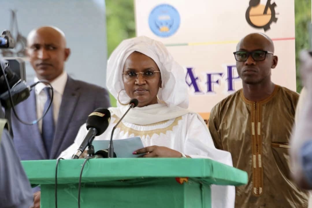 Le Mali mise sur l'énergie solaire et la broderie chinoise pour booster l'emploi des jeunes.