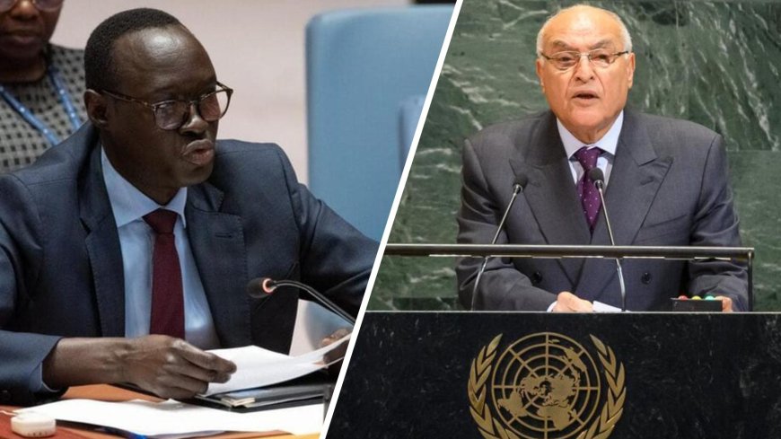 Le sponsor du chaos démasqué... : L'Algérie mise à nu à l’ONU