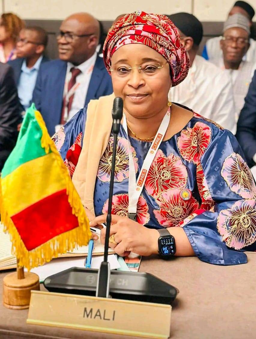 Santé publique : le Mali alerte sur l'augmentation des cas de Dengue