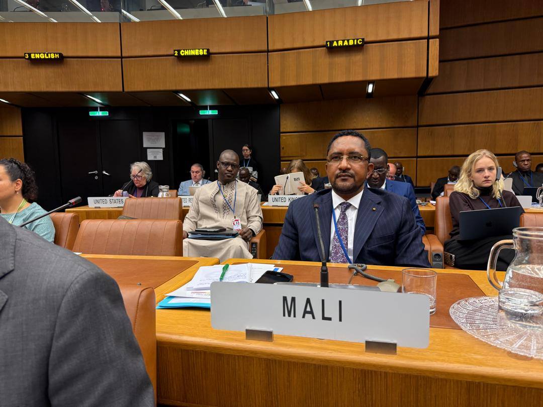 Migration illicite : le Mali réaffirme son engagement et réclame une approche humaine et globale