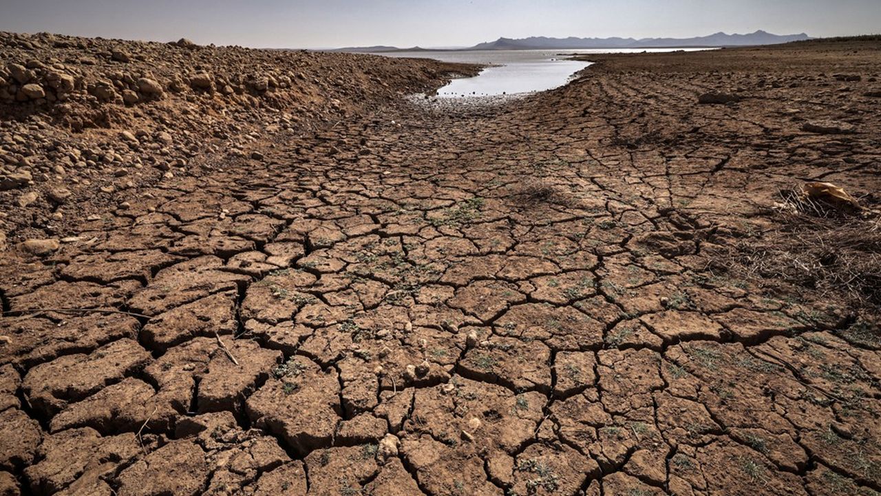 Sècheresse en Afrique de l’Ouest : Faire face au défi pressant