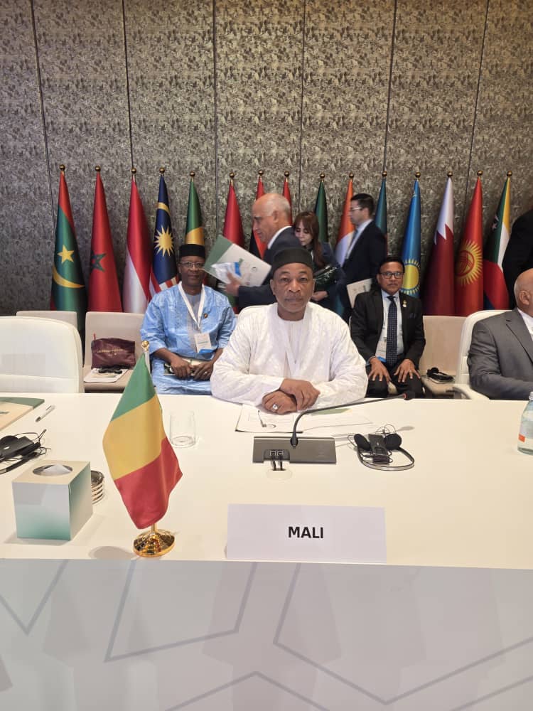 Conférence de l’OCI à Doha : le Mali expose ses stratégies pour l’emploi, la santé et la transformation digitale