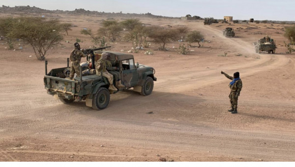 Succès militaires des FAMA : plusieurs groupes terroristes neutralisés dans les régions de Gao et Ménaka