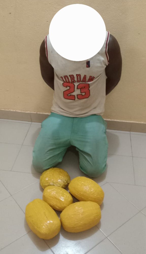 Lutte anti-drogue : l'OCS saisit 4,5 kg de Kusch destinés à des sites d'orpaillage à Bougouni