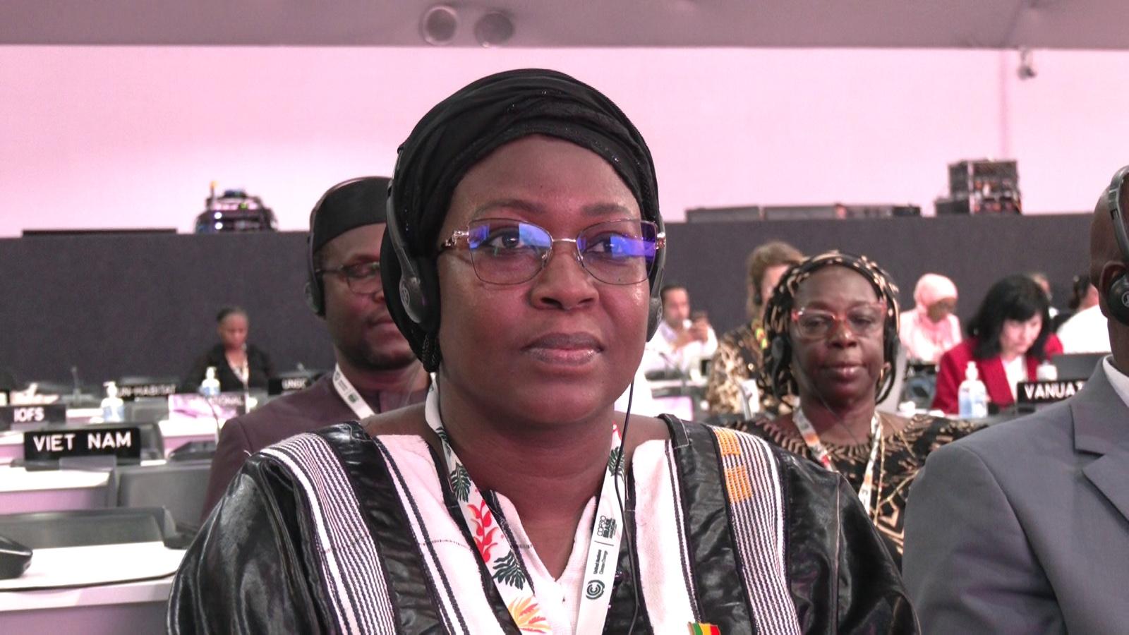 COP30 à Belém : Le Mali regrette la non-tenue des promesses de financement climatique de Paris et de Bakou