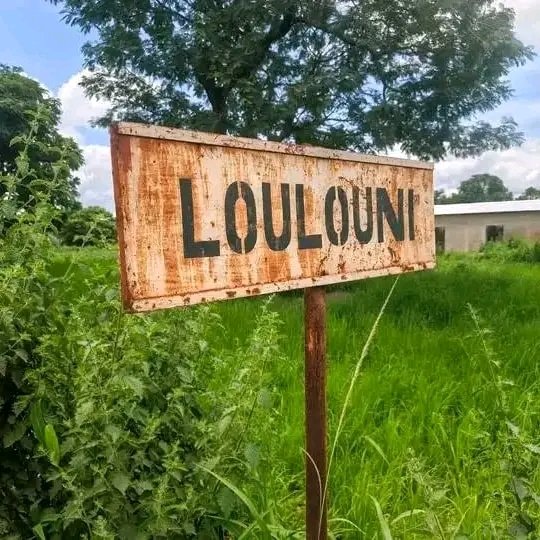 Loulouni: Vaste opération de ratissage des FAMa, la population appelée à regagner ses foyers