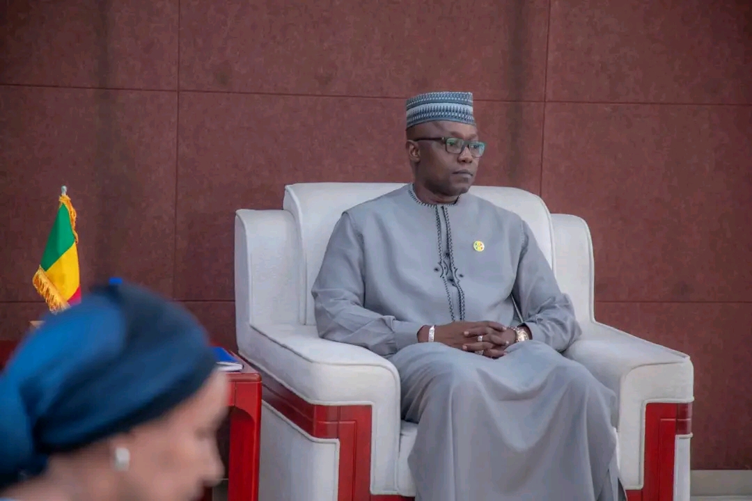 Diplomatie et Humanitaire : Le Président du CNT reçoit l'Ambassadeur britannique et le Chef du CICR.