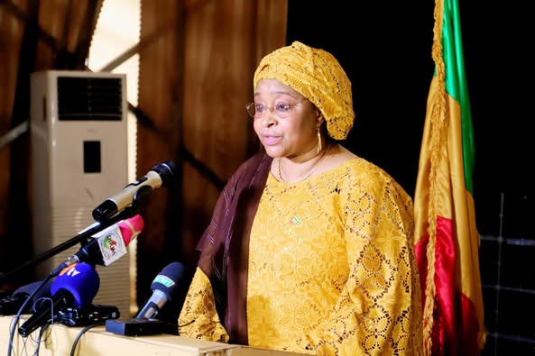 Santé Publique : Baisse des cas de Dengue au Mali, le Chef de l’État appelle à la vigilance