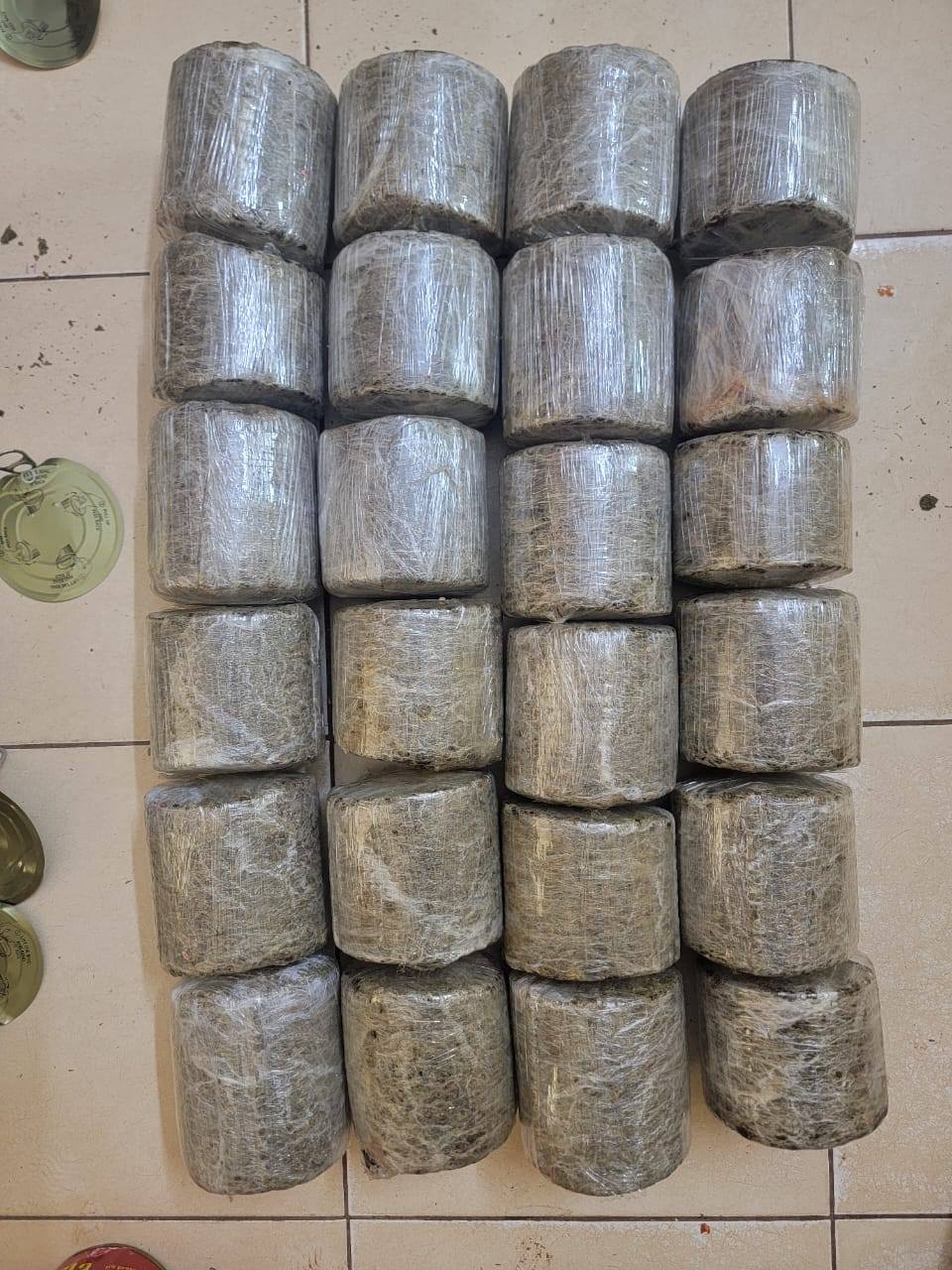 Aéroport de Bamako : Une cargaison de cannabis dissimulée dans des boîtes de conserve interceptée
