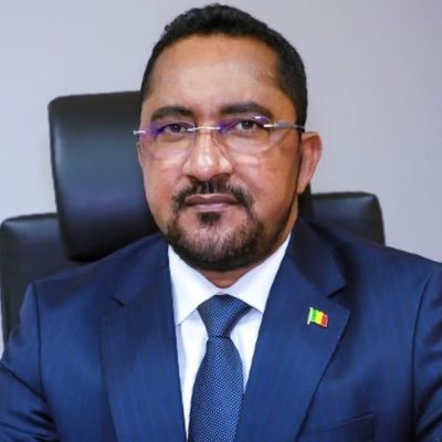 Assistance et protection des Maliens établis à l’extérieur en 2025:  Le bilan présenté au Chef de l’Etat