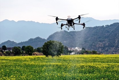 La science au cœur de l'agriculture chinoise : le Document central n°1 de 2026 trace la voie du développement futur