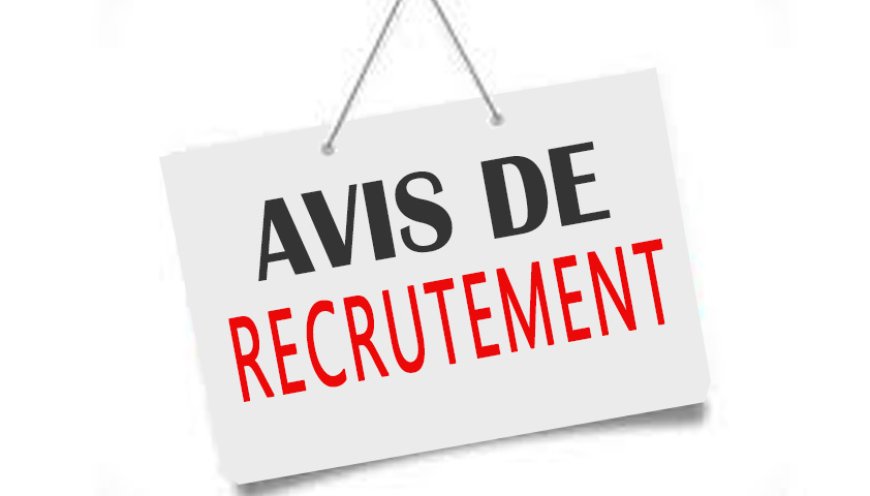 Avis de recrutement : formateurs experts (Secteur minier)