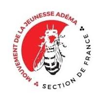 Sortie de crise au Mali:  Les six (6) propositions de la Section ADEMA-PASJ France !