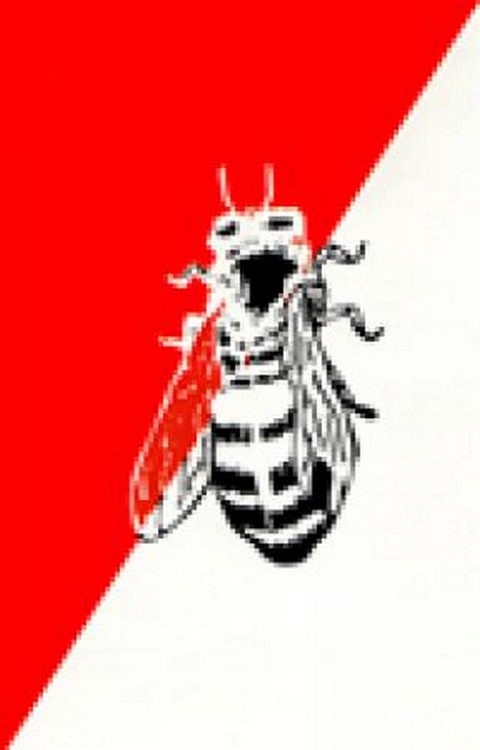 Candidature pour les élections législatives du 29 mars : La Commune III encore à la traine !