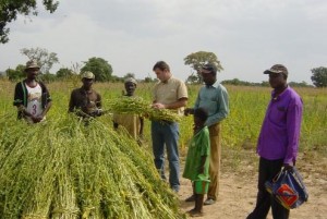 Recrudescence de l’insécurité : Une menace sur la campagne agricole au centre du Mali ?