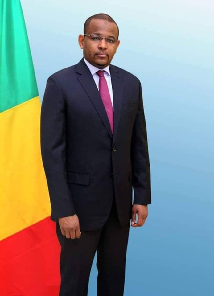 Gestion gouvernementale: Qui veut abattre Boubou Cissé ?